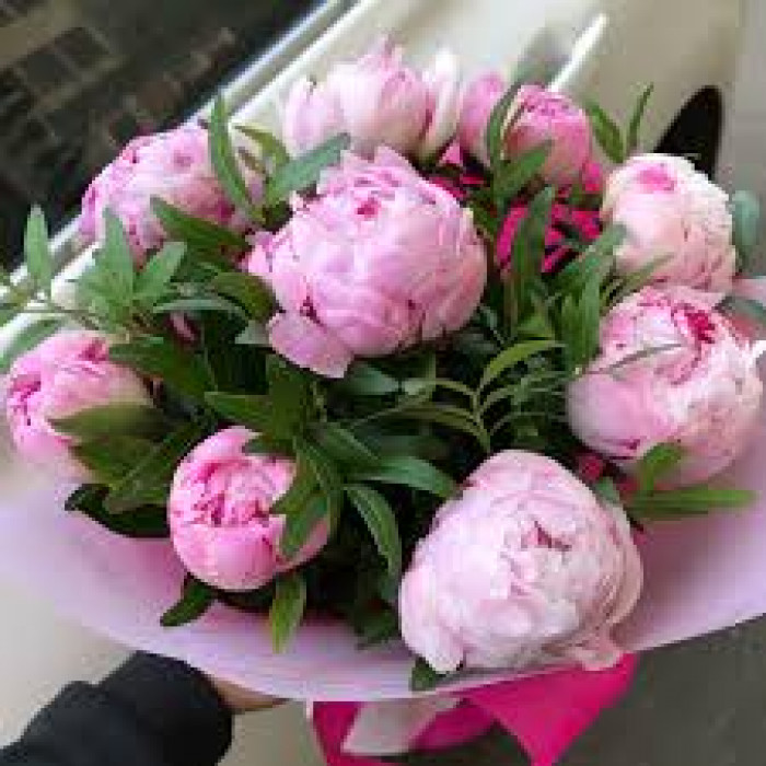 Пион древовидный в Костанае