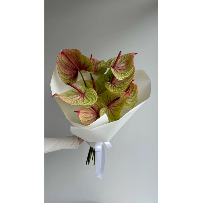 Антуриумы в Костанае