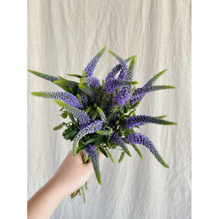 Вероника в Костанае