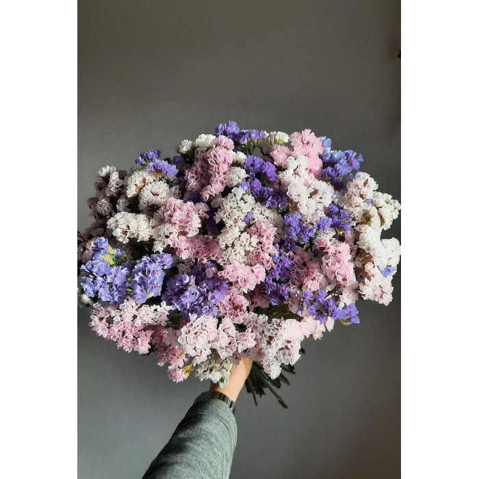 Статица (Лимониум) в Костанае