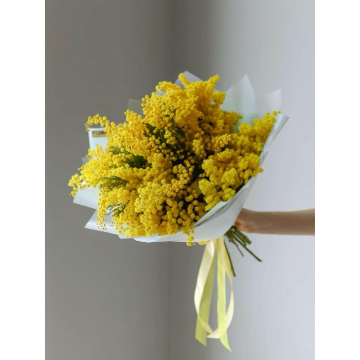 Мимоза в Костанае