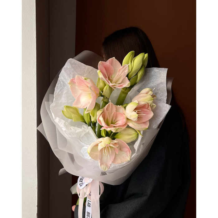 Амариллис в Костанае