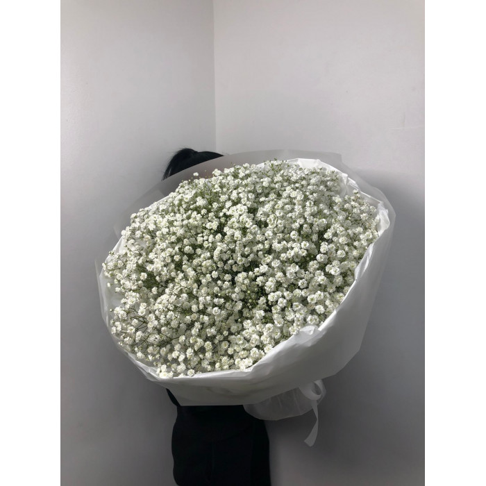 Гипсофила классическая в Костанае