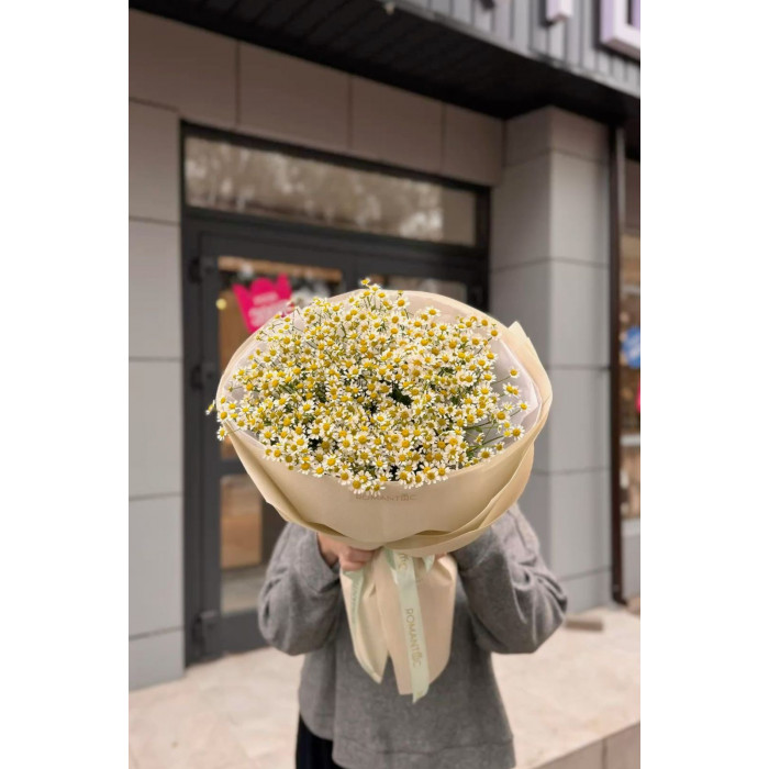 Танацетум в Костанае