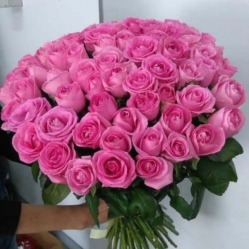 Купить на заказ Букет из 75 розовых роз с доставкой в Костанае